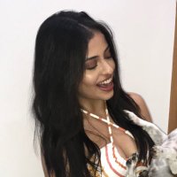 lu (@luadfs) 's Twitter Profile