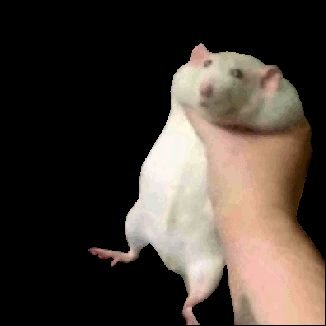 SethIsAVpn's profile picture. 