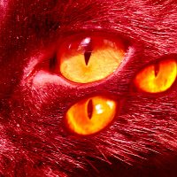 M. X. Walker (@mxwalker_) 's Twitter Profile Photo M. X. Walker (@mxwalker_) 's Twitter Profile Photo