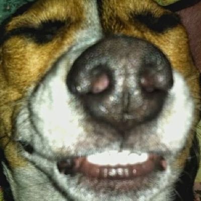 JerryLy22999632's profile picture. Small business owner. Father and husband Christian and mentor.