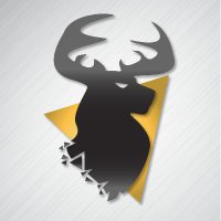 MVP(@MVP_Guild) 's Twitter Profile Photo
