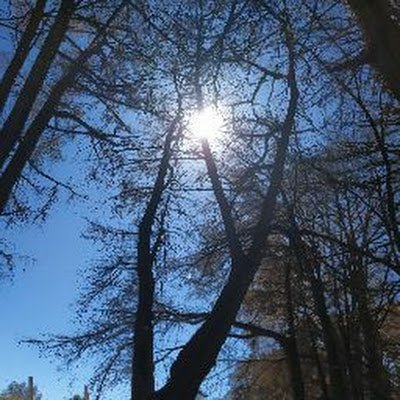 RedsTamara's profile picture. 