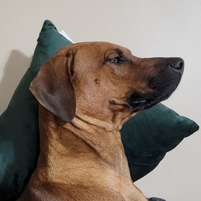 jane_lowrey's profile picture. 