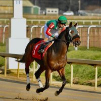 Alexander Crispin (@acrispin86) 's Twitter Profile