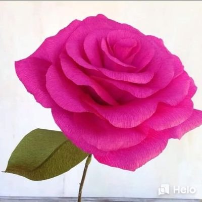 Rajavel33820462's profile picture. Like kamam