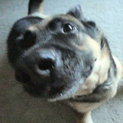 breakingbryce1's profile picture. all  those  moments 

will  be  lost  in  time 

like   tears,   in   rain.