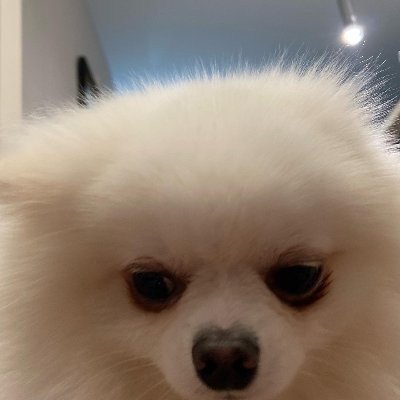 MisbahMSMPH's profile picture. 