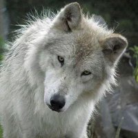 ~ One Love ~ (@datgatekeeper) 's Twitter Profile Photo ~ One Love ~ (@datgatekeeper) 's Twitter Profile Photo
