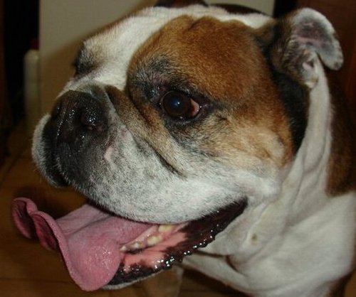 ls_rud's profile picture. 