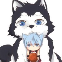 Evan66 (@evan66r) 's Twitter Profile