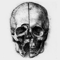 daVinci (@rustdavinci) 's Twitter Profile