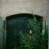 mirror leak (@reptileshroud) 's Twitter Profile