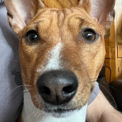 Cole__Stewart's profile picture. 🪐