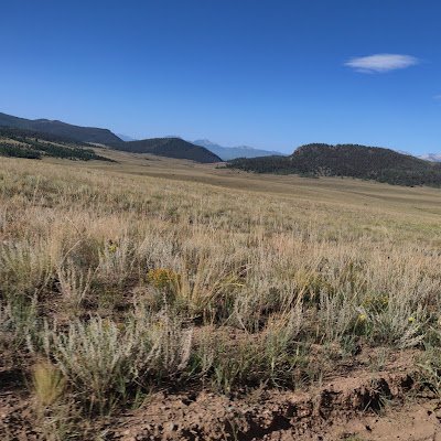 bighairbill_w's profile picture. 