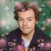 harrystyleush