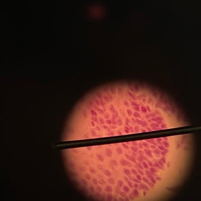 hadesemmabunjob's profile picture. 