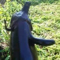 3i_mii's profile picture. アクアリウム好きのその辺のゲーマー。冬はスノーボードも。最近APEXにのめり込み中(最高ランク自称ダイヤ)。昔は非想天則してました。たまに昔プレイしたゲー ムを思い出したり自炊したものを呟いてます。株絡みはみすきーで呟いてます。
アイコンは昔、畑で取れたナスです。