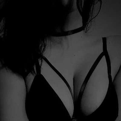 LealMont_1's profile picture. .