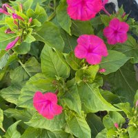 Adn (@adnan19228280) 's Twitter Profile Photo Adn (@adnan19228280) 's Twitter Profile Photo
