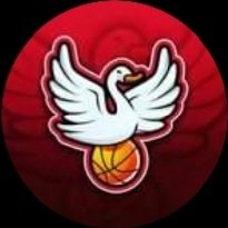 swasiolly's profile picture. 