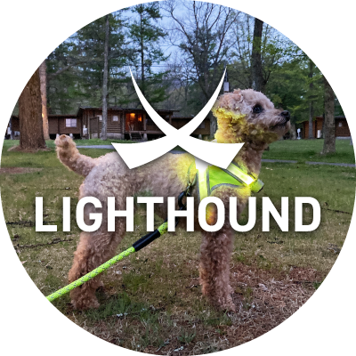 lighthound_jp Profile Picture
