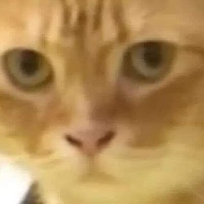 Goe1256's profile picture. 