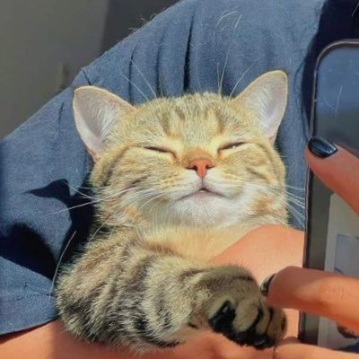 SannaZmr's profile picture. 