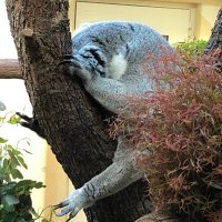 Vienna13 Capital (@vienna13capital) 's Twitter Profile Photo