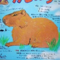 カー (@mojitakun) Twitter profile photo