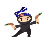 Workplace Ninjas Australia(@wpninjasau) 's Twitter Profile Photo