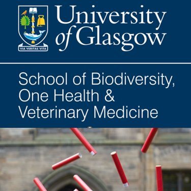 School of Biodiversity, One Health & Veterinary Medicine at the University of Glasgow (@UofGlasgow) #UofGBVMS #UofGVetBio #UofGVetPG Part of #TeamUofG 🐴🐶🐱🐄