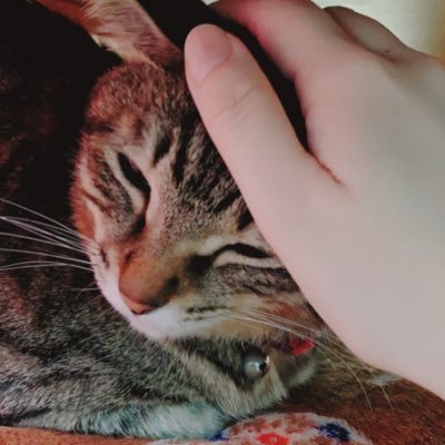 mimumemomichan's profile picture. DbD大好き😍💕💕プレイ時間だけ長いド沼サバ専💦LOLも始めた✨OWは引退🤪