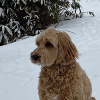 Max (@maxta) 's Twitter Profile