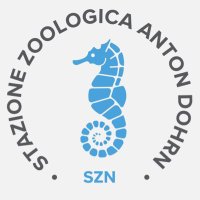Stazione Zoologica Anton Dohrn(@SznDohrn) 's Twitter Profile Photo