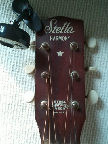 FreeForLifeWire's profile picture. 