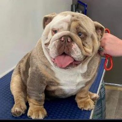 PPr07590033's profile picture. 