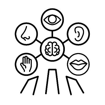 IMRF provides a platform to study how the senses combine and (re)organize in the mind, brain, and computational models.