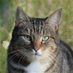 Wendy Cate (@wendycate14) Twitter profile photo Wendy Cate (@wendycate14) Twitter profile photo