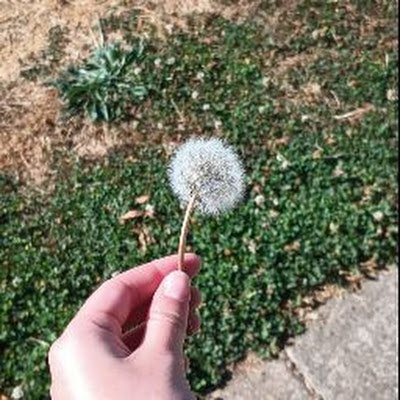 Redvibes15's profile picture. 