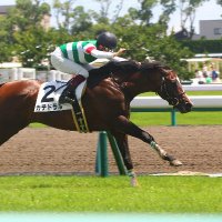 芯力🐴 わいわい競馬サークル (@shindikara2023) 's Twitter Profile