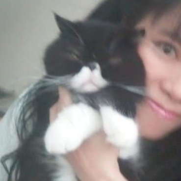 Founder of Spiderweb Learning, MSc. in Digital Education(University of Edinburgh), avid kidlit reader and wannabe writer, humble servant of my cats.