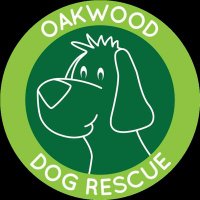 Oakwood Dog Rescue(@OakwoodRescue) 's Twitter Profile Photo