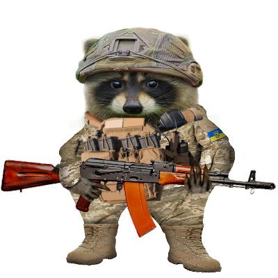 NAFO Raccoon Division - Special Little Tank Squadron.
Slava Ukraini!