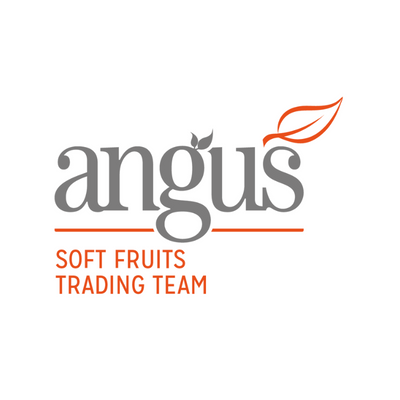 AngusFruit Profile Picture