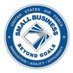 DAF Office of Small Business Programs (@AFSmallBiz) Twitter profile photo