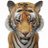 髙橋 啓子のTwitterプロフィール画像