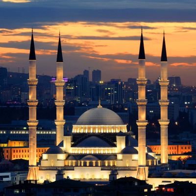 kld22113982's profile picture. 