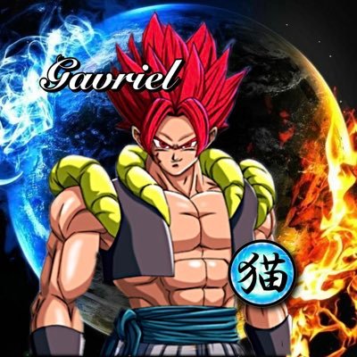 ドラゴンボールレジェンズ/ドッカンバトル/まおりゅう レジェンズはリリース初期からしてます！現在猫仙流分家所属！猫仙流裏本家で世界一取らさせて頂きました！！ギルマス→ @U_knowDBL