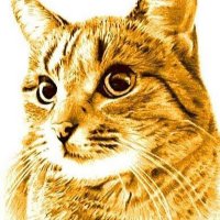 Juha Valkonen (@valkonen_juha) 's Twitter Profile Photo