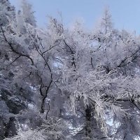 james groome (@groome_james) 's Twitter Profile Photo